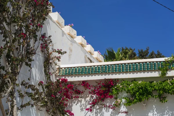 Tunisiska arkitekturen — Stockfoto