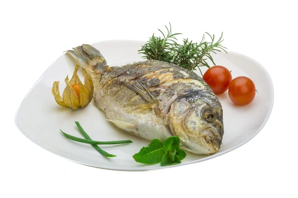 Dorado grilled — Stock Photo, Image