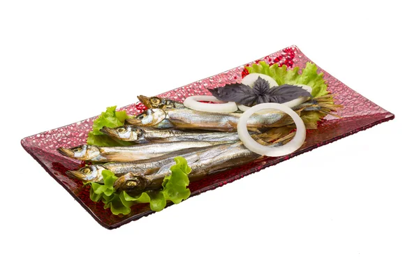 Capelin essiccato — Foto Stock