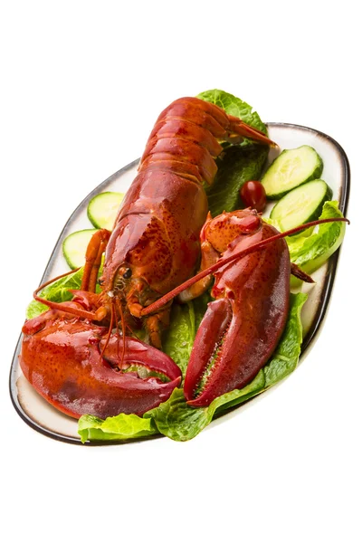 Grand homard — Photo