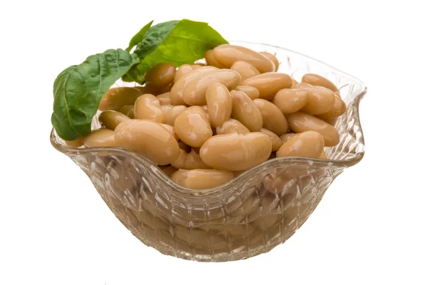 缶詰の豆 — ストック写真