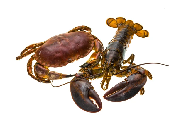 Raw Lobster and Crab — Stock Photo, Image