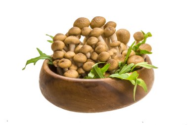 Japonya mantar shimeji