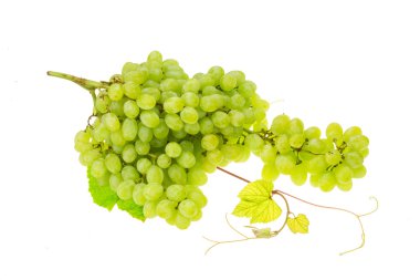 parlak yeşil üzüm