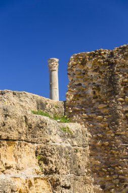 eski Kartaca Harabeleri