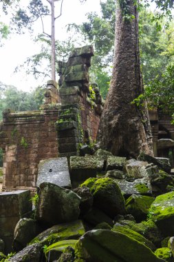Angkor wat karmaşık