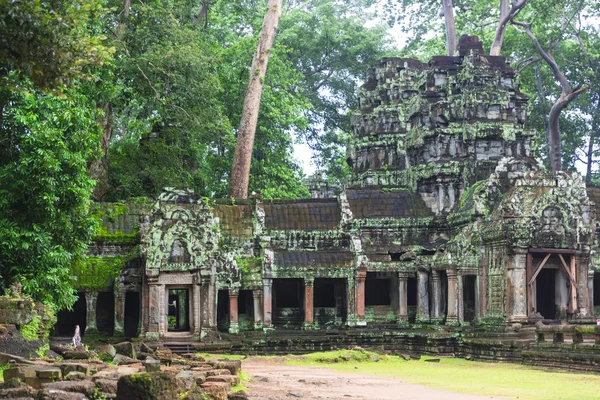 Angkor wat complexe — Stockfoto