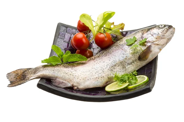 Fresh raw rainbow trout — Stock Photo, Image