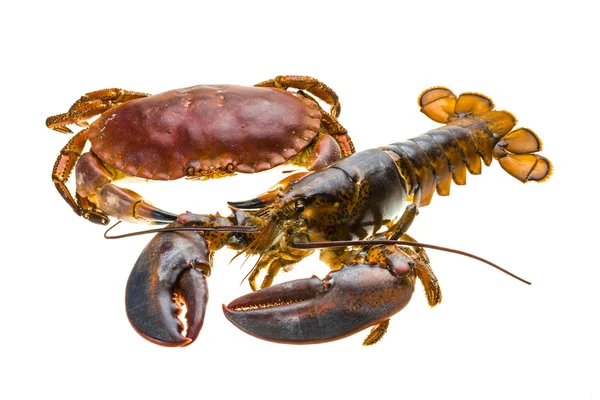 Raw Lobster and Crab — Stock Photo, Image