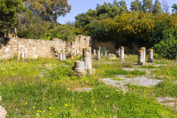 Stare ruiny Kartaginy — Zdjęcie stockowe