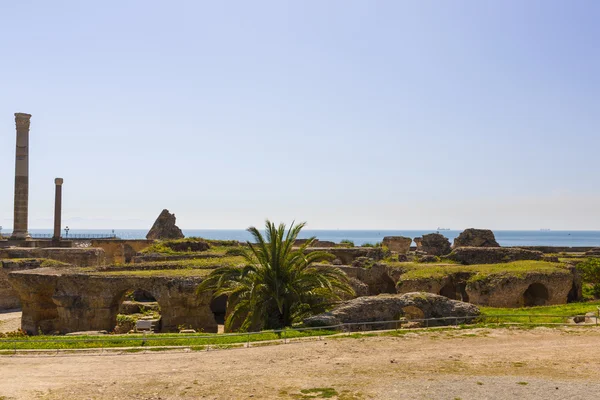 Eski Kartaca Harabeleri — Stok fotoğraf