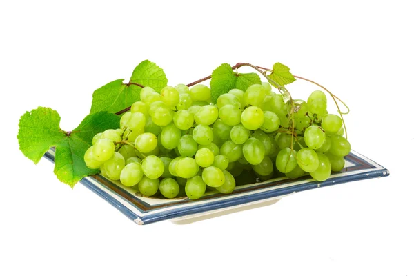 Green bright grape — Stock Photo, Image