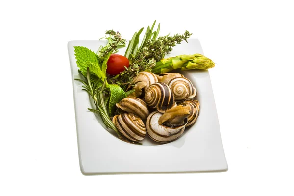 Escargot con espárragos, romero, timo y tomate —  Fotos de Stock