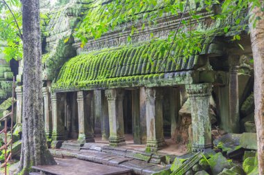 Angkor wat karmaşık