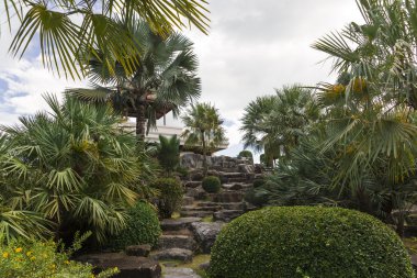 Nong nooch tropikal Bahçe