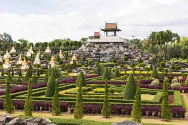 Nong nooch tropikal Bahçe