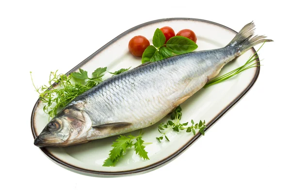 Marinated herring with herbs — Stock Photo, Image