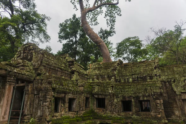 Angkor wat karmaşık — Stok fotoğraf