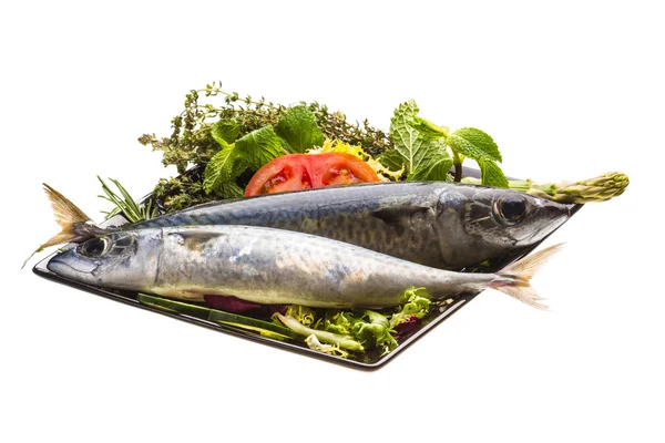 Atlantic raw sardine — Stock Photo, Image