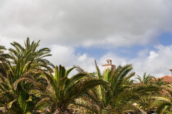 Maspalomas архітектура — стокове фото