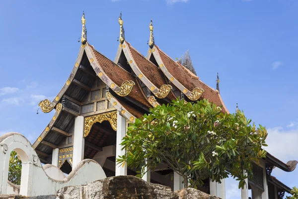 Nong Nooch Jardín Tropical —  Fotos de Stock