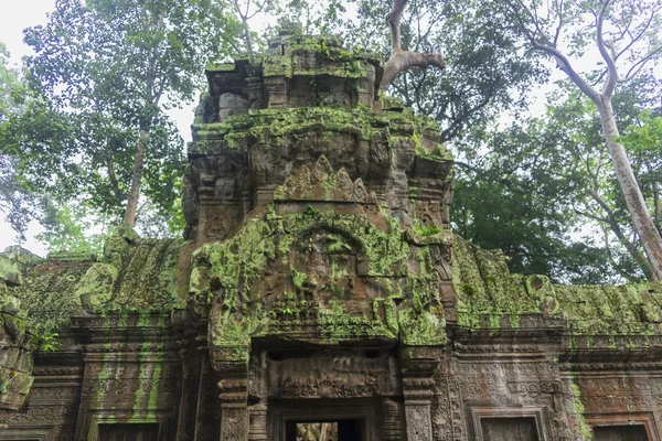 Komplex angkor wat — Stock fotografie