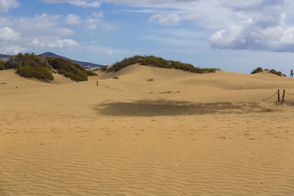 Maspalomas Duna - Wüste auf der Kanarischen Insel Gran Canaria — Stockfoto