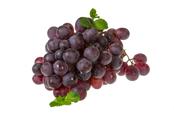 Zralé hroznové víno — Stock fotografie