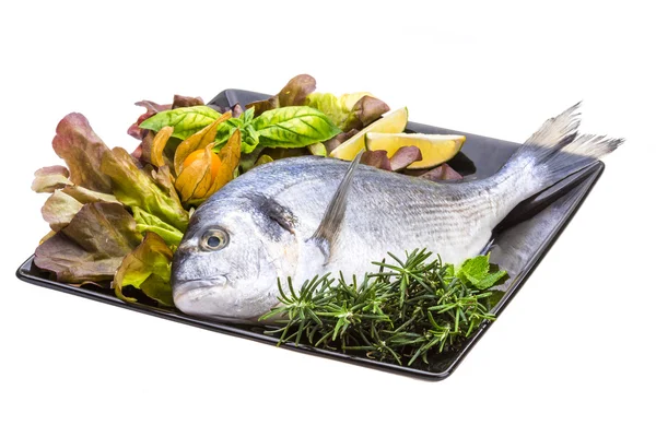 Fresh raw dorada — Stock Photo, Image