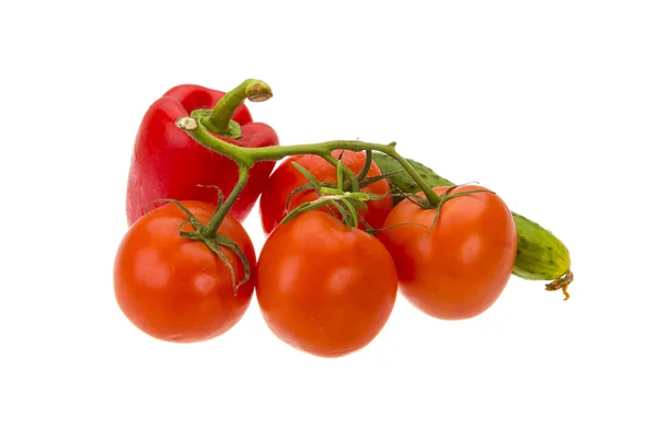 Paprika, rajče větev a okurka — Stock fotografie