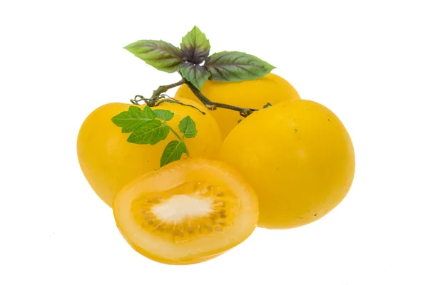 Žlutá zralé rajče — Stock fotografie