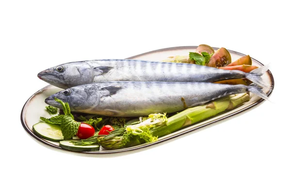 Fresh Atlanticmackerel — Stock Photo, Image