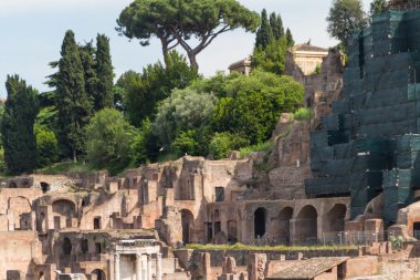 Bina kalıntıları ve antik sütunlar, Roma, İtalya