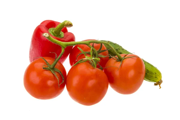 Röd paprika, tomat gren, gurka — Stockfoto