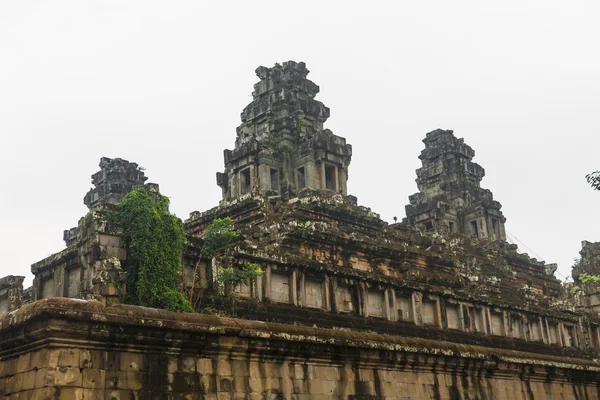 Angkor-wat-kompleks – stockfoto