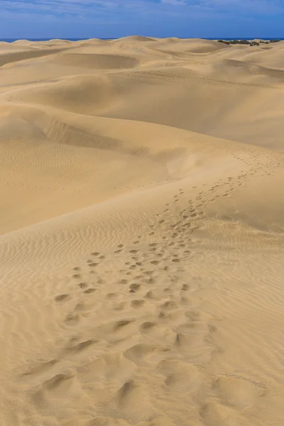 Maspalomas Duna - Wüste auf der Kanarischen Insel Gran Canaria — Stockfoto