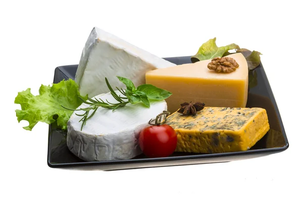 Variety cheese assortment — Stock Photo, Image