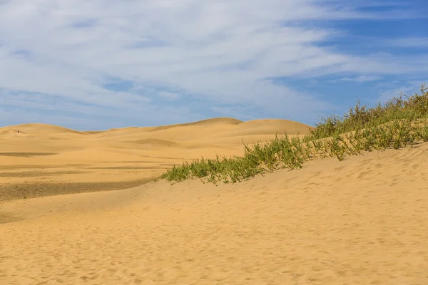 Maspalomas Duna - Wüste auf der Kanarischen Insel Gran Canaria — Stockfoto