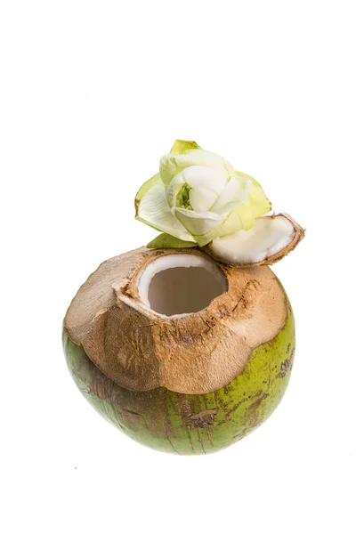 Noci di cocco — Foto Stock