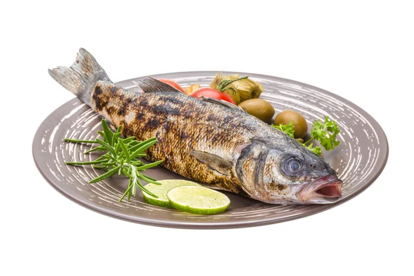 Roasted seabass — Stock Photo, Image