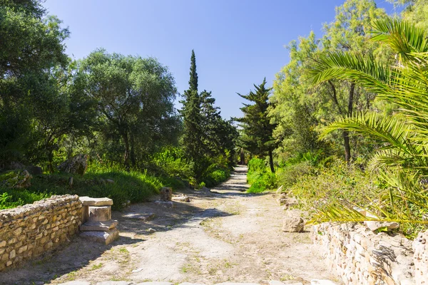 Oude ruïnes Carthago — Stockfoto