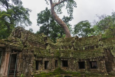 Angkor wat karmaşık