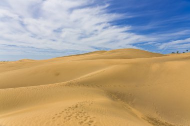 Maspalomas Duna - Kanarya adası Büyük Kanarya Çölü