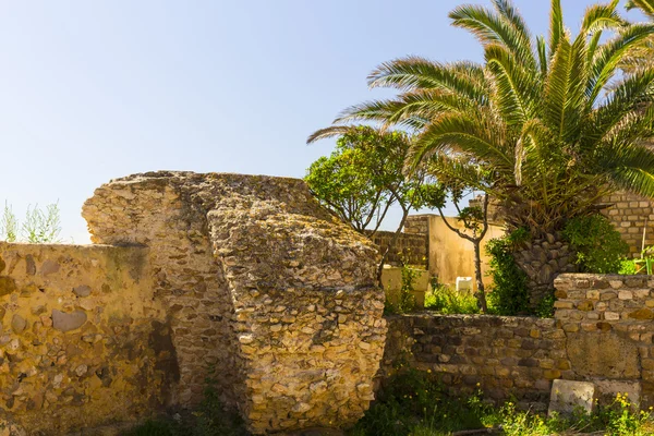 Old Carthage ruins — Stock Photo, Image