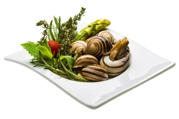 Escargot with asparagus, rosemary, thymus and tomato — Stock Photo, Image