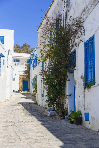 Antigua ciudad árabe de Túnez - Sidi Bu Said — Foto de Stock