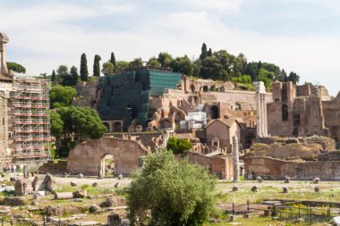 Bina kalıntıları ve antik sütunlar, Roma, İtalya