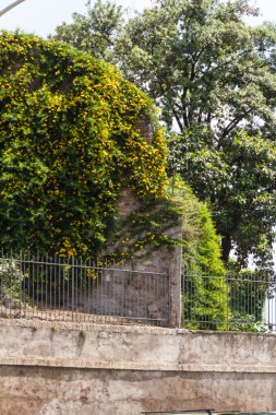 Roma, İtalya. eski şehrin tipik mimari detaylar