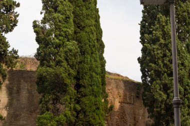 Roma, İtalya. eski şehrin tipik mimari detaylar