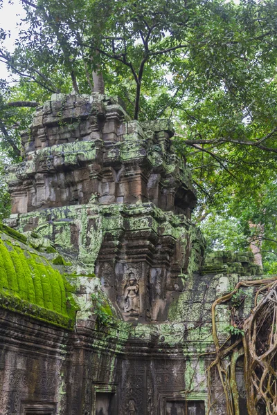 Angkor wat komplex — Stockfoto